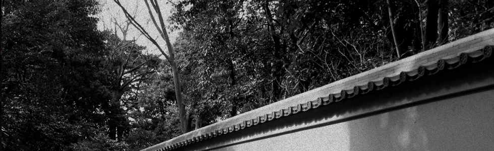 プロジェクト無限増殖ブログサービス